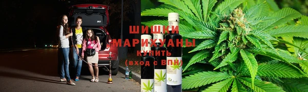 тгк Абаза